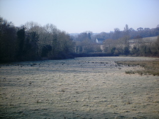 Frosty field 2.JPG